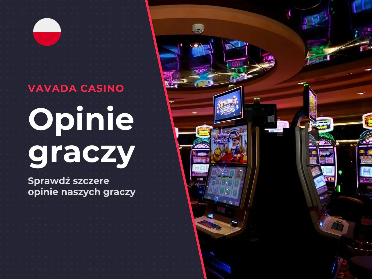 Najczęstsze pochwały w opiniach. Na podstawie
