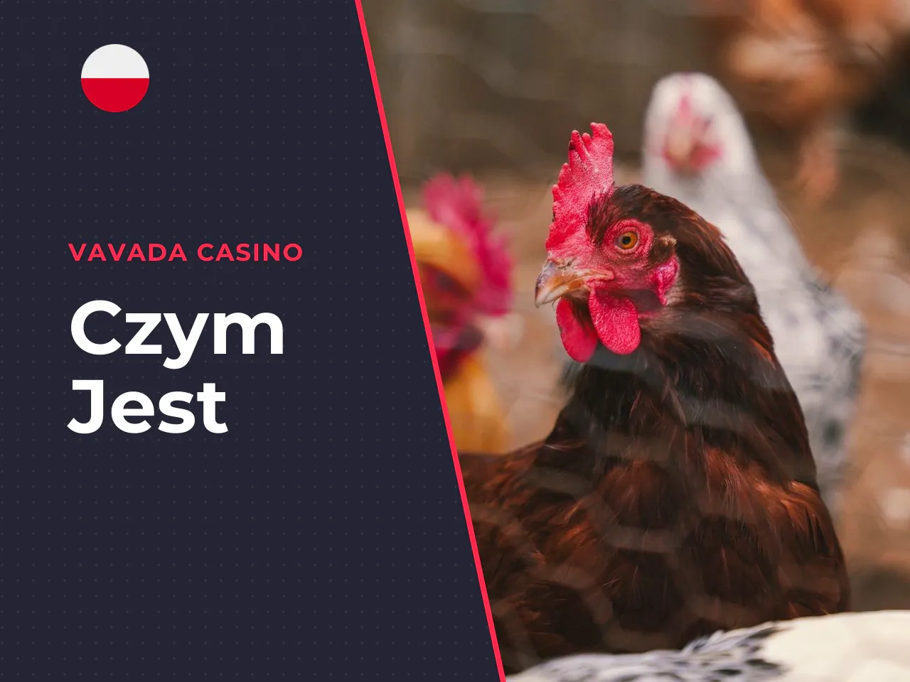 Czym jest Chicken Road i na